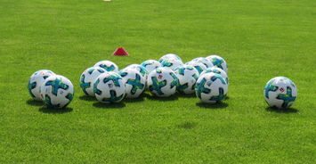 法兰克福稳步前行，巩固在积分榜前列的位置。，法兰克福sge